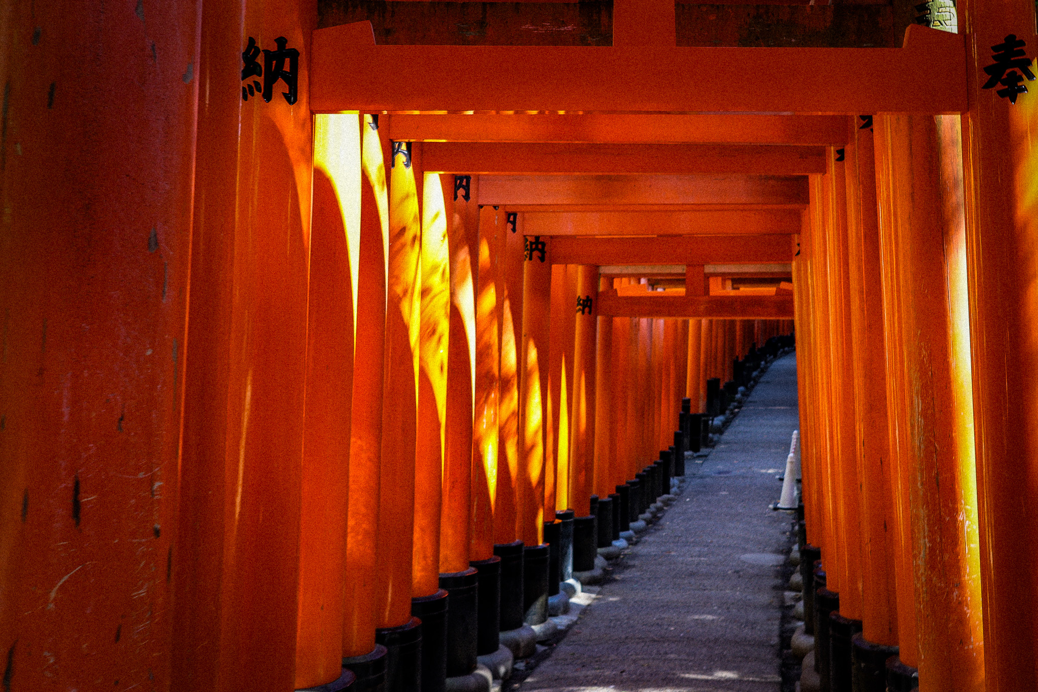 Torii